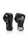Боксерські рукавиці Fairtex BGV6 Black 10 унцій