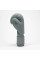Боксерські рукавиці Leone GN058 TONE X Light grey 12 унцій