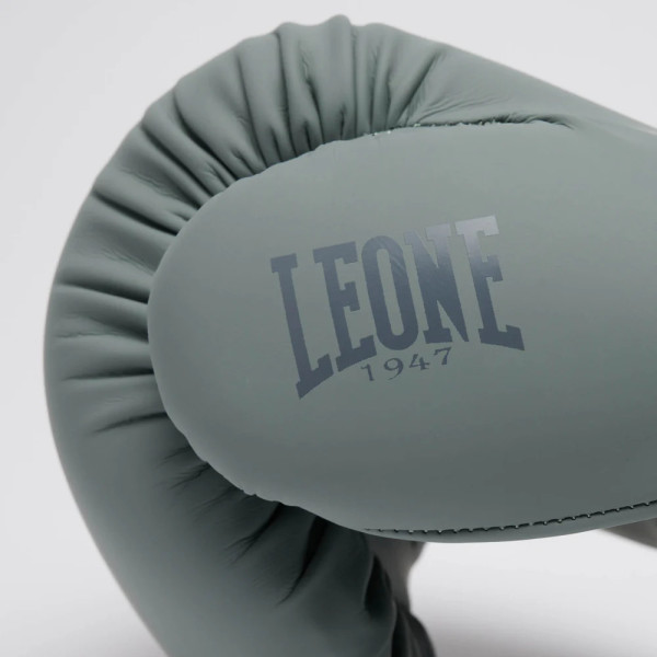 Боксерські рукавиці Leone GN058 TONE X Light grey 12 унцій