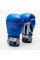 Боксерські рукавиці Leone GN208 ICONIC Blue 16 унцій (бинти 4 м. в комплекті)
