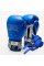 Боксерські рукавиці Leone GN208 ICONIC Blue 16 унцій (бинти 4 м. в комплекті)