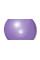 М'яч для фітнесу (фітбол) Power System PS-4011 Ø55 cm PRO Gymball Purple