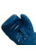 Боксерські рукавиці TITLE Boxing Inferno Intensity Elastic Blue/White / 16 oz