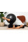 М'яч для фітнесу (фітбол) Power System PS-4011 Ø55 cm PRO Gymball Black