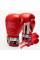 Боксерські рукавиці Leone GN208 ICONIC Red 12 унцій (бинти 4 м. в комплекті)
