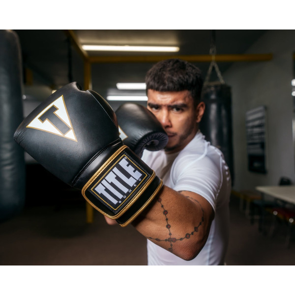 Боксерські рукавиці TITLE Boxeo Mexican Leather Quatro Black/White 16 oz