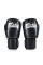 Боксерські рукавиці Fairtex BGV27 Black 10 унцій