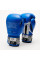 Боксерські рукавиці Leone GN208 ICONIC Blue 14 унцій (бинти 4 м. в комплекті)