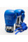 Боксерські рукавиці Leone GN208 ICONIC Blue 14 унцій (бинти 4 м. в комплекті)