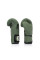 Боксерські рукавиці Fairtex BGV11 Green 14 унцій