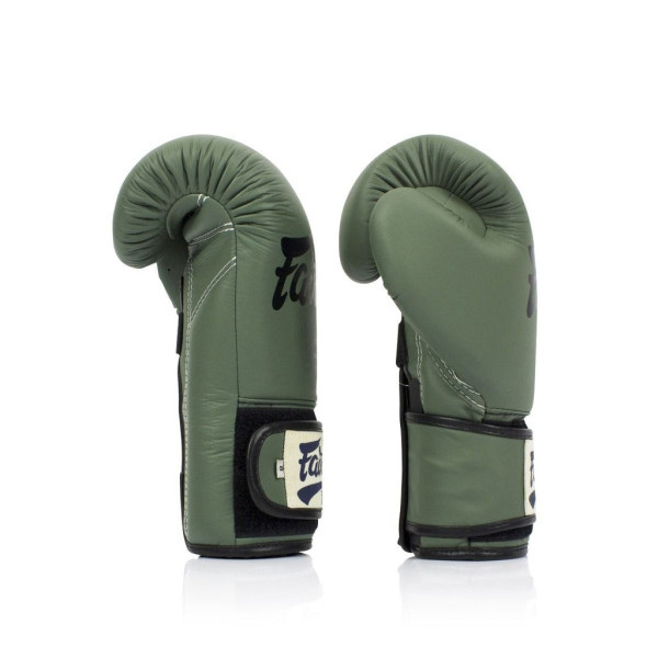 Боксерські рукавиці Fairtex BGV11 Green 14 унцій