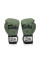 Боксерські рукавиці Fairtex BGV11 Green 14 унцій