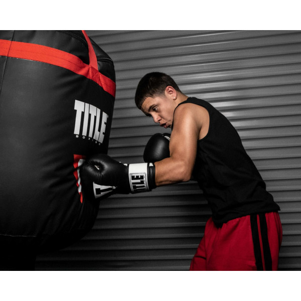 Боксерські рукавиці TITLE Premier Leather Black/White M 12 oz