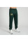 Спортивні штани Leone Premium Green S