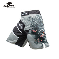 Шорты MMA Samurai