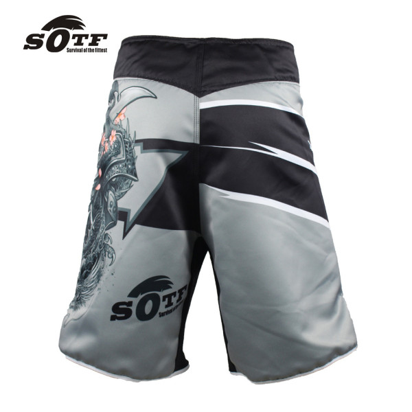Шорты MMA Samurai