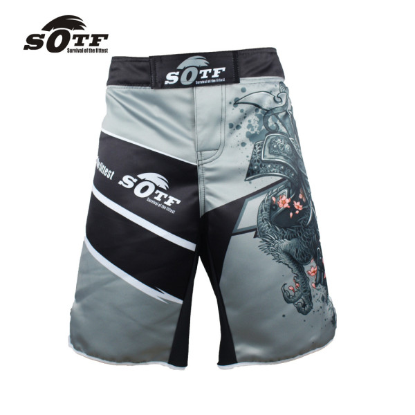 Шорты MMA Samurai