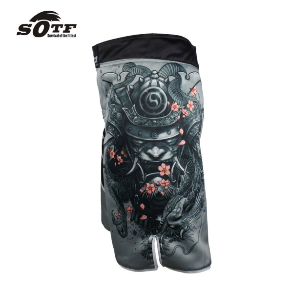 Шорты MMA Samurai