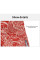 Шорты MMA AnotherBoxer Dragon Red